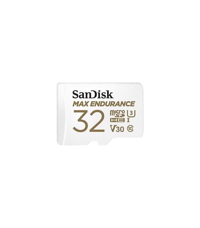 Sandisk Max Endurance 1